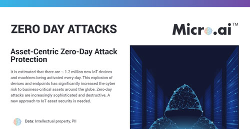 Zero Day Attacks
